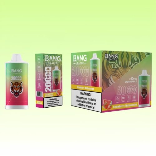 Bang Leader 20000 Puffs 6 1 jpg - Bang King