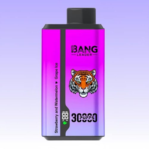 Bang Leader 30000 Puffs 2 1 jpg - Bang King Bang Leader 30000 Puffs 2 1 jpg - Bang King