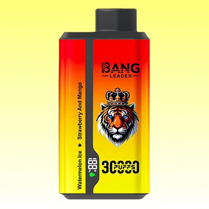 Bang Leader 30000 Puffs 4 1 jpg - Bang King Bang Leader 30000 Puffs 4 1 jpg - Bang King