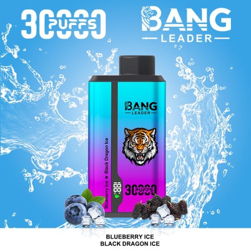 Bang Leader 30000 Puffs 8 1 jpg - Bang King Bang Leader 30000 Puffs 8 1 jpg - Bang King