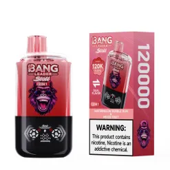 Bang leader 120k3 1 webp - Bang King Bang leader 120k3 1 webp - Bang King