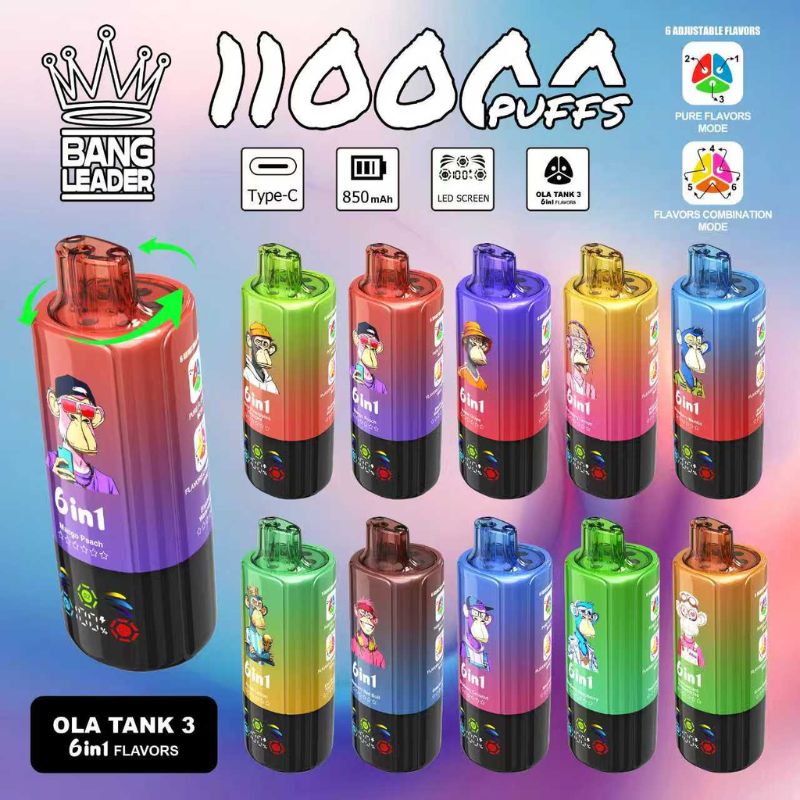 bang leader 110k jpg - Bang King